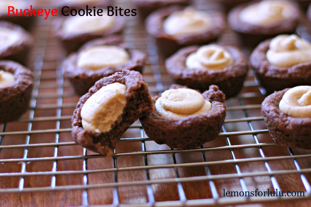 Buckeye-Cookie-Bites-1024x682