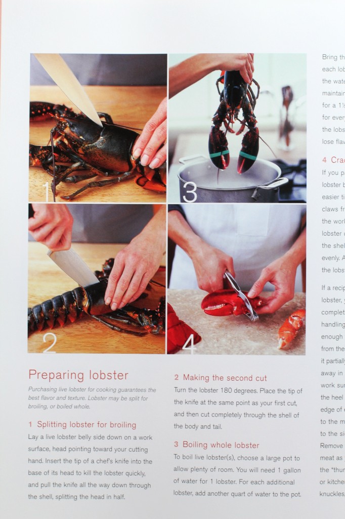 CIA Cookbook 008