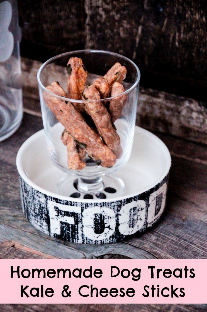 Homemade-Dog-Treats-Kale-Cheese-Sticks--682x1024
