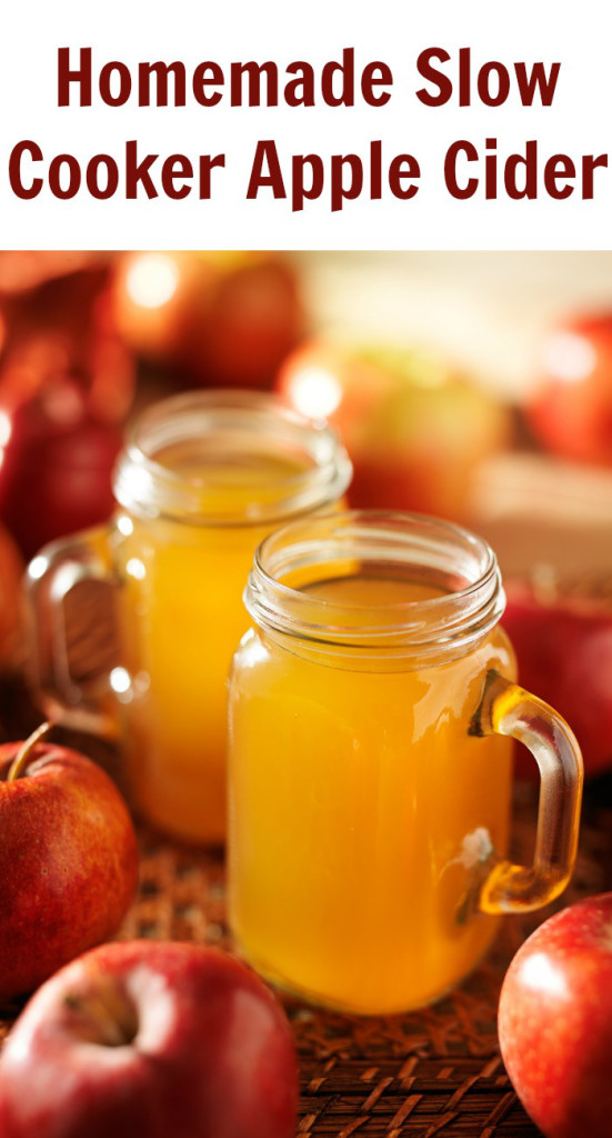 Homemade-Slow-Cooker-Apple-Cider