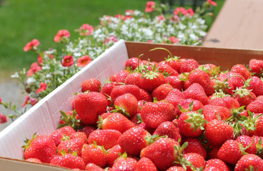 Italian Cookies and strawberries 048