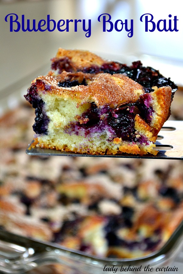 Lady-Behind-The-Curtain-Blueberry-Boy-Bait-2