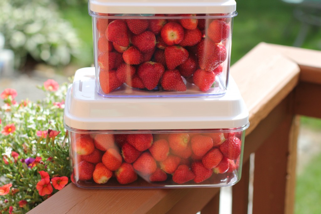 Lemom Italian Cookies 051