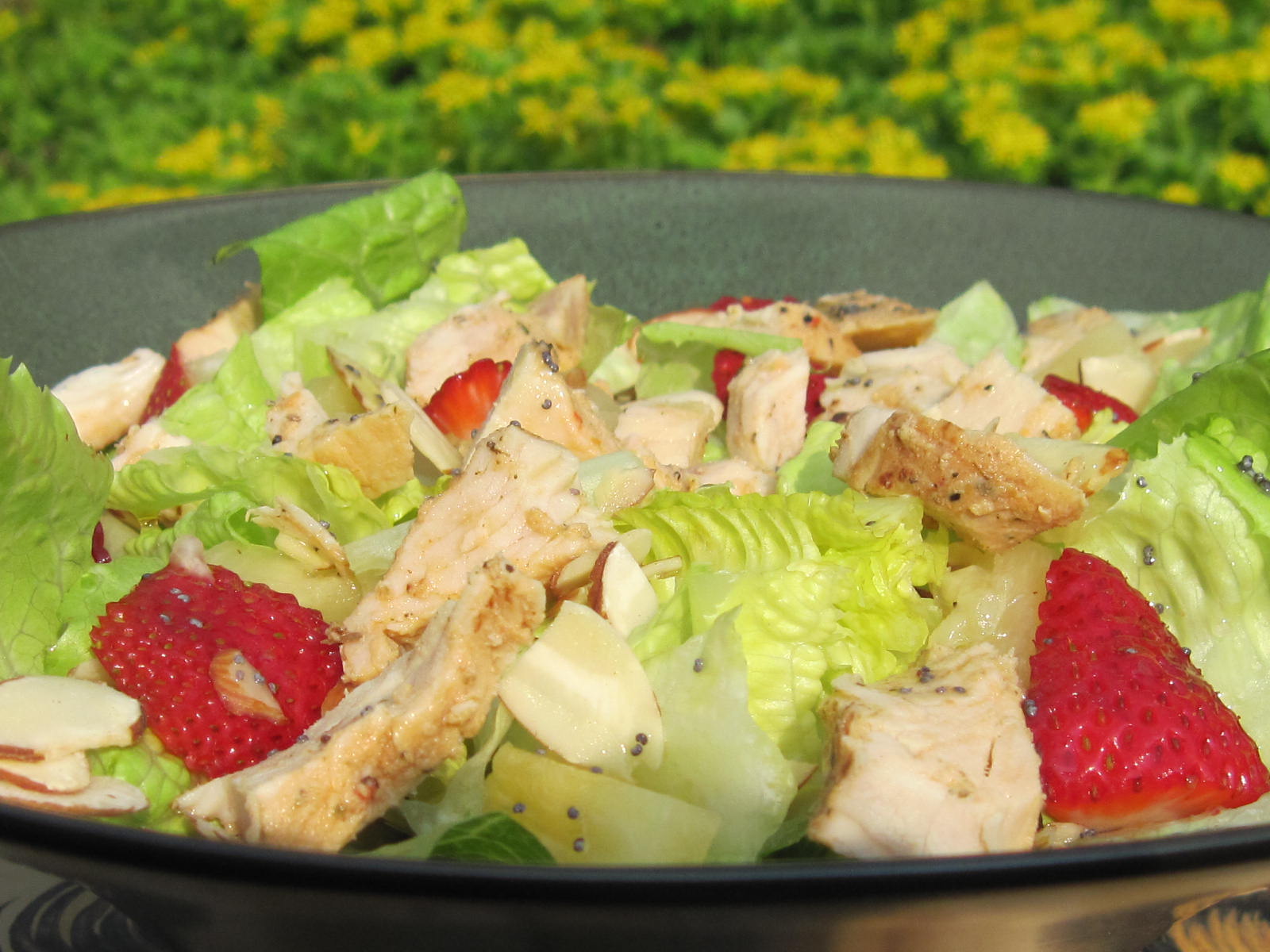 Panera Salad 012