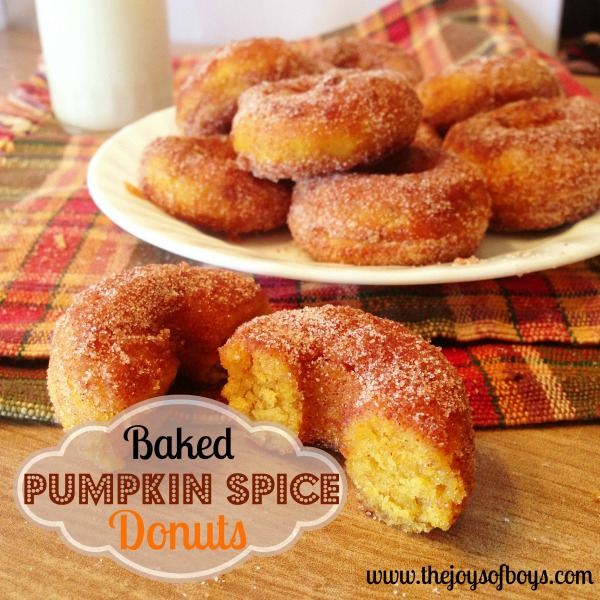 Pumpkin-Spice-Donuts