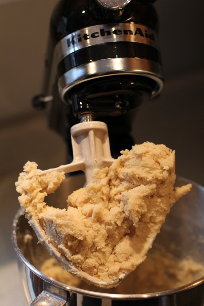 Spritz Cookies2 040