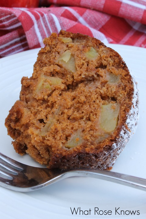 apple-spice-cake-6