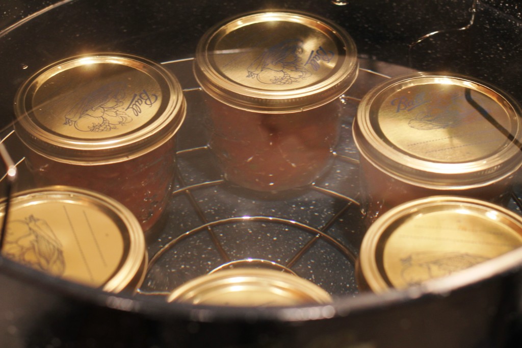 canning salsa 013