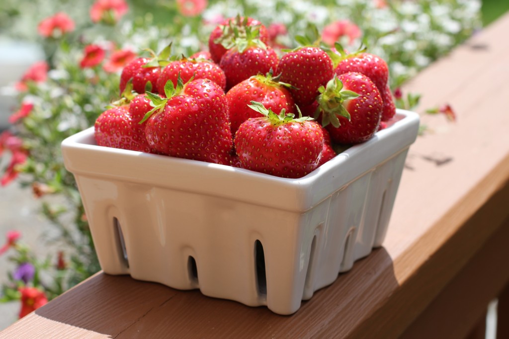 more strawberries 001