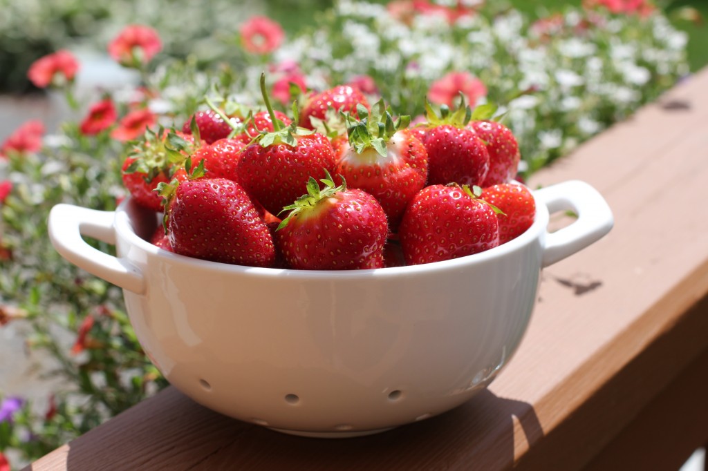 more strawberries 016