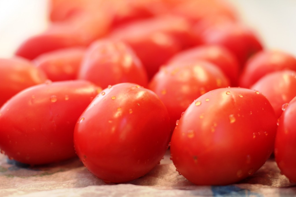 salsa 001