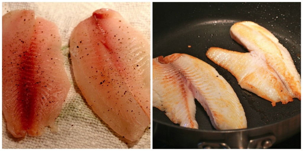 tilapia